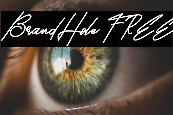 BrandHole FREE Example 2
