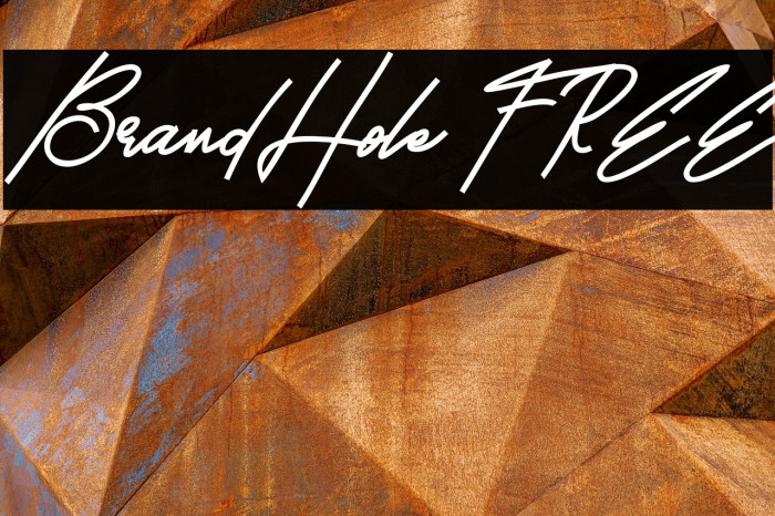 BrandHole FREE Example 3