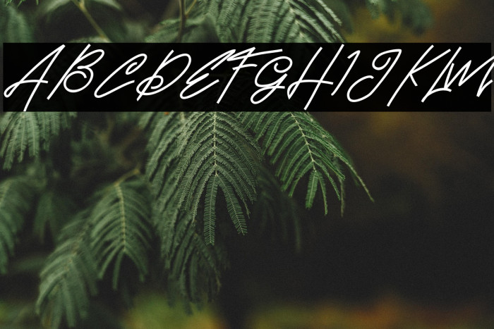 BrandHoleFREE Example 1