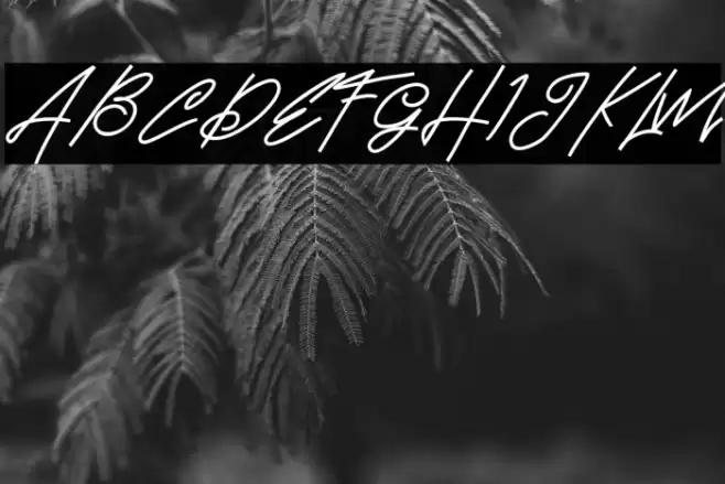 BrandHoleFREE Font examples