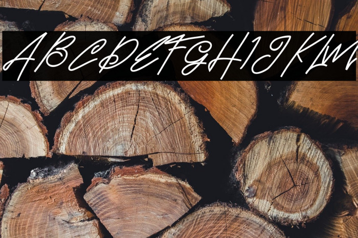 BrandHoleFREE Example 2