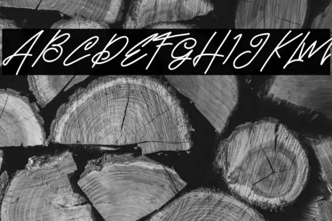 BrandHoleFREE Font examples