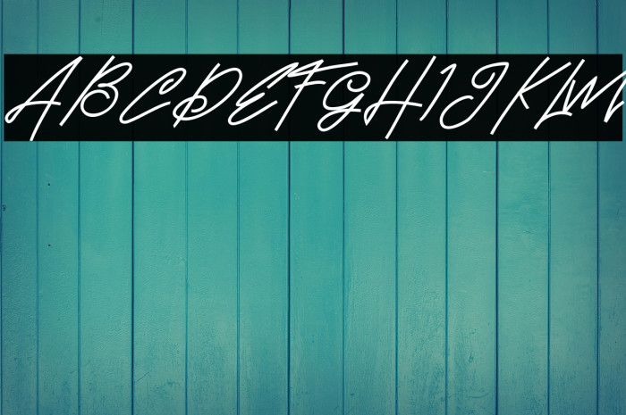 BrandHoleFREE Example 3