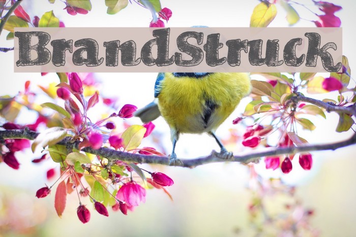 BrandStruck Example 1