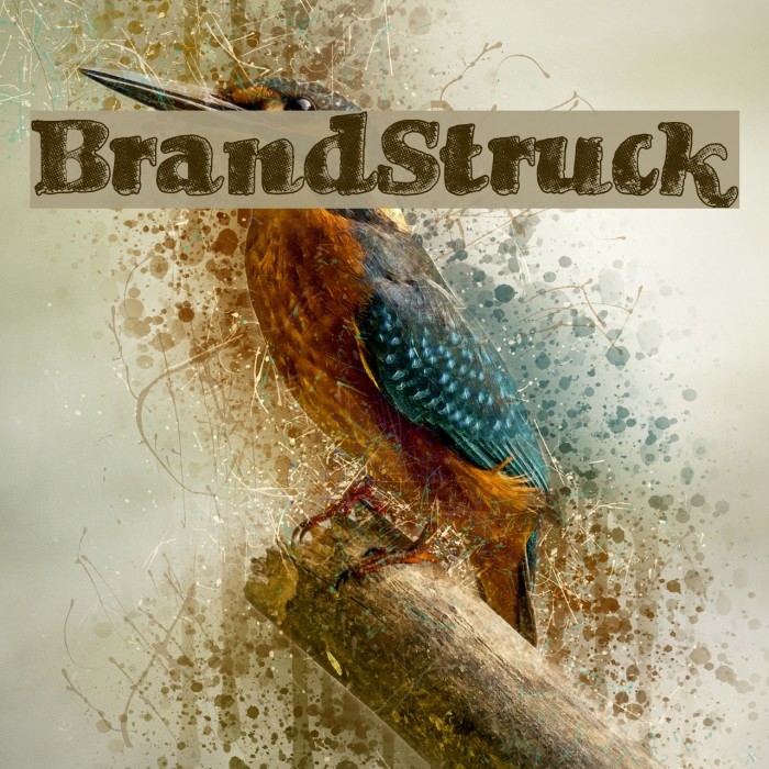 BrandStruck Example 2