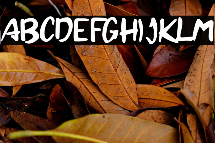 Brandall Personal Use Example 2