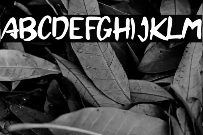 Brandall Personal Use Font examples