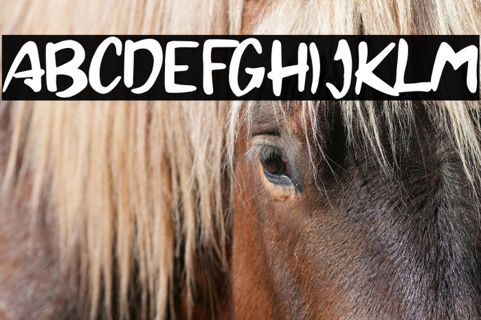 Brandall Personal Use Example 3