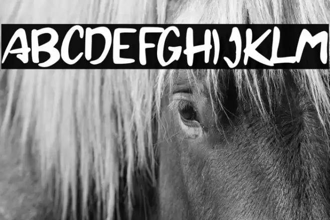 Brandall Personal Use Font examples