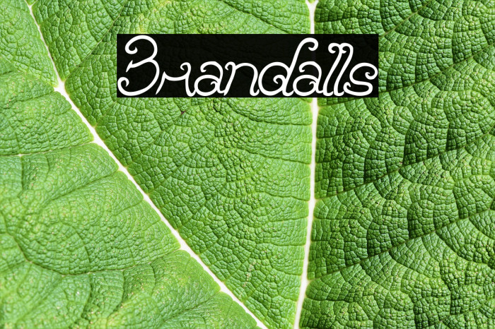 Brandalls Font examples