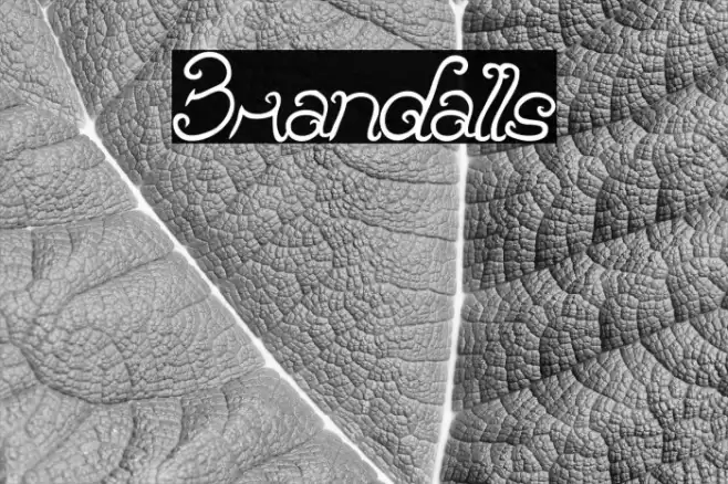 Brandalls Шрифта examples
