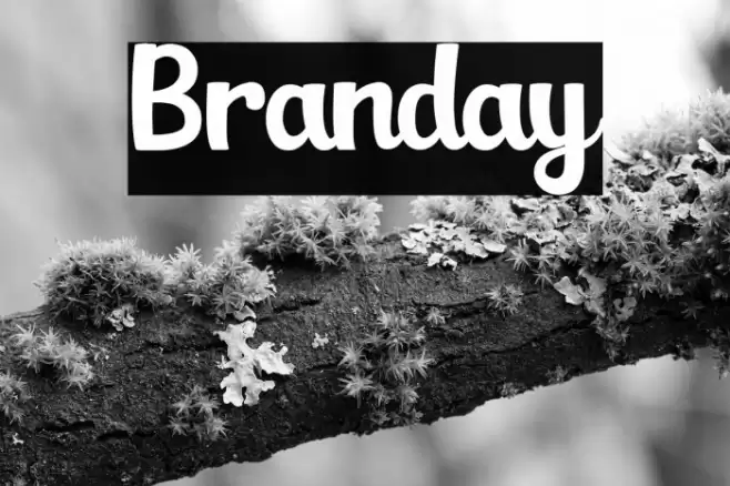 Branday Font examples