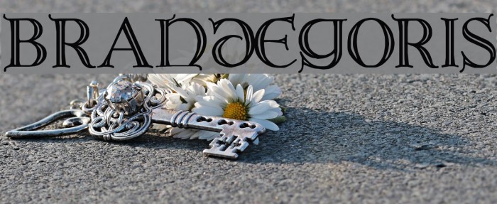 Brandegoris Font examples