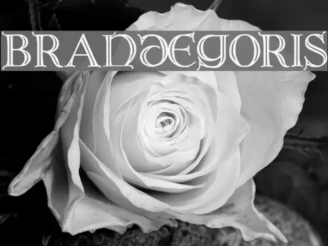 Brandegoris Font examples