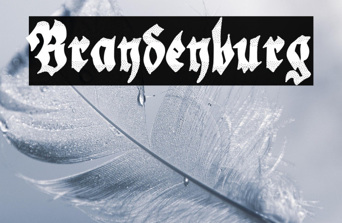 Brandenburg Example 2