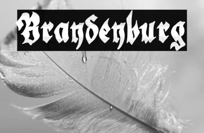 Brandenburg Polices examples