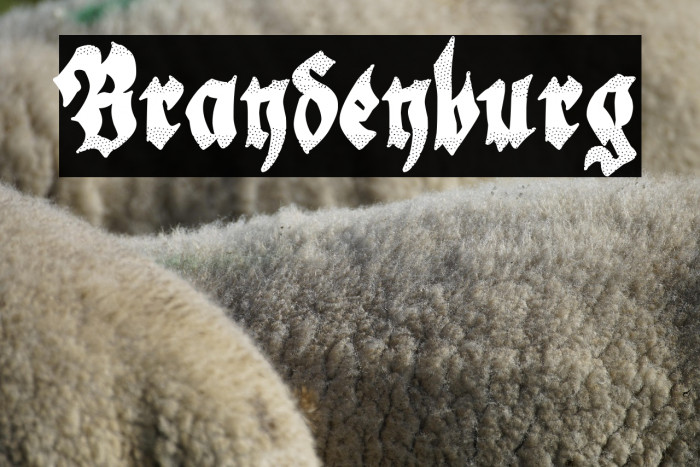 Brandenburg Example 3