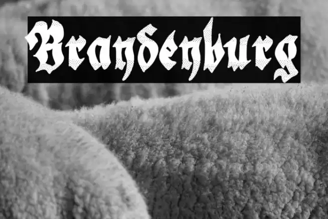 Brandenburg Polices examples