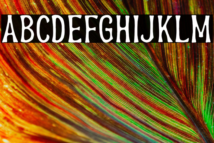 BrandersDEMO Example 1