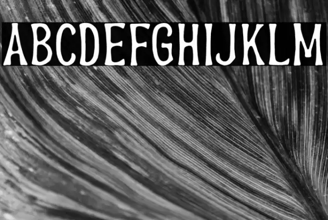 BrandersDEMO Font examples