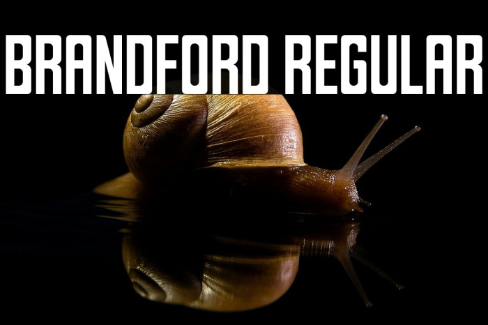 Brandford Regular Example 1