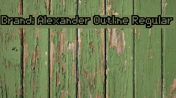 Brandi Alexander Outline Regular Font examples