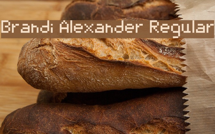 Brandi Alexander Regular Font examples