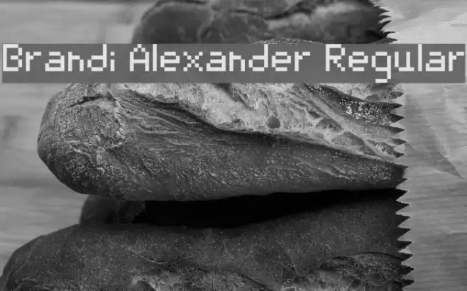 Brandi Alexander Regular Polices examples