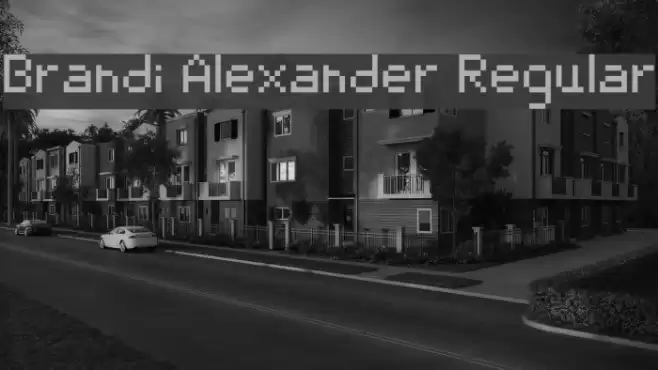 Brandi Alexander Regular Polices examples