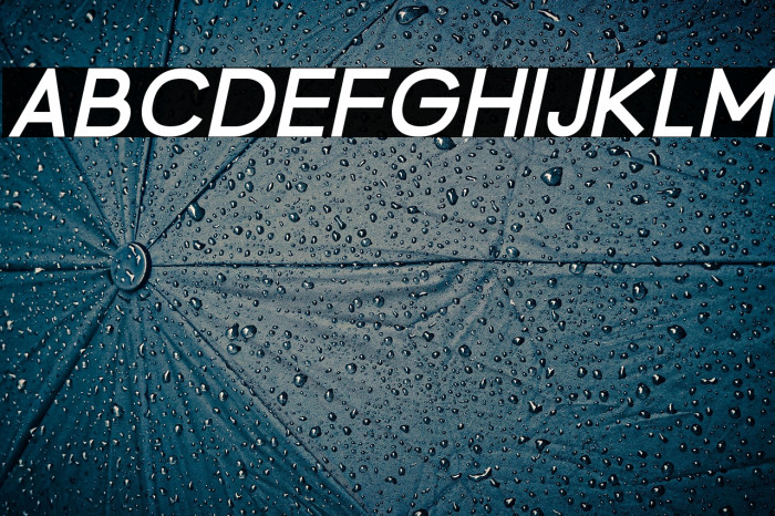 BrandingPro-BoldItalic Example 1