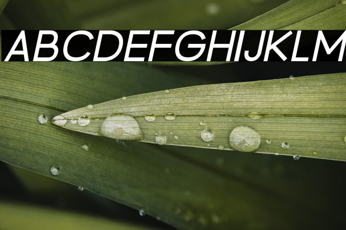 BrandingPro-Italic Example 1