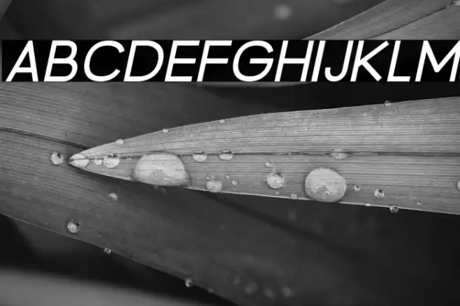 BrandingPro-Italic Font examples