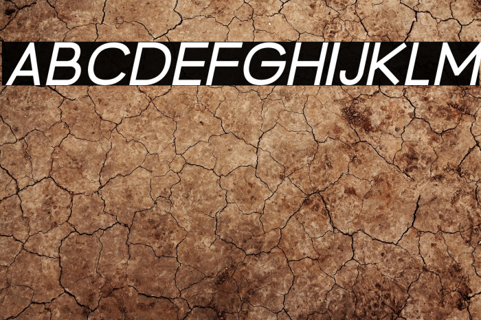 BrandingPro-Italic Example 2