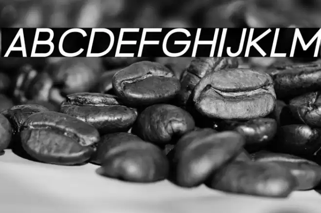 BrandingPro-Italic Font examples