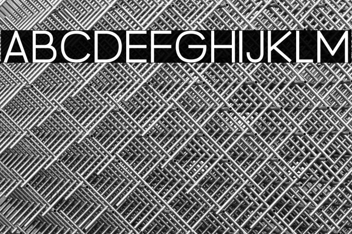 BrandingPro-Light Example 2