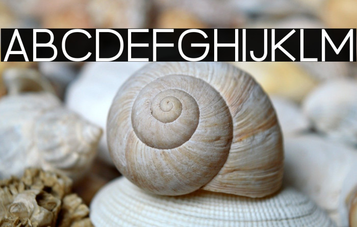 BrandingPro-Light Example 3