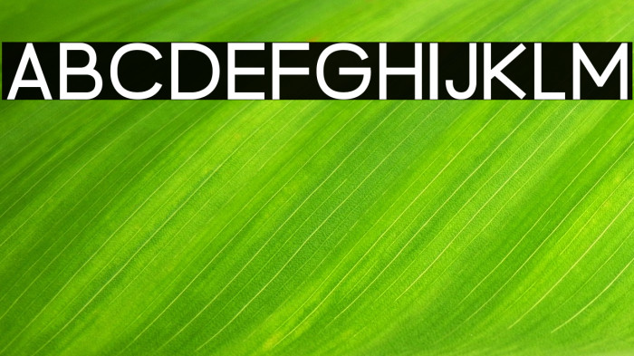 BrandingPro Example 2