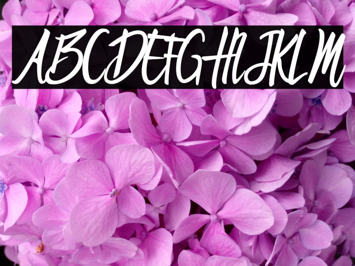 Brandon Regular Example 1