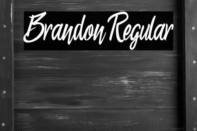 Brandon Regular Font examples