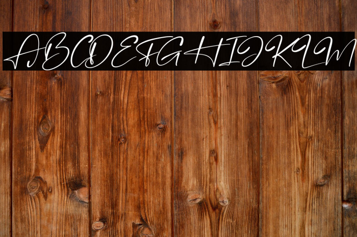 Brandon Smith Italic Example 1