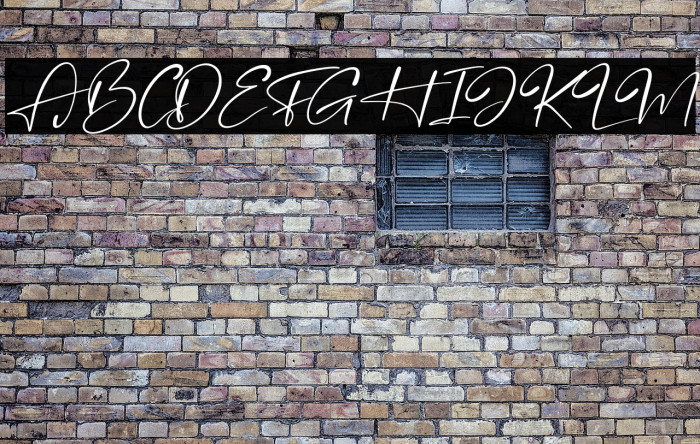 Brandon Smith Italic Example 2