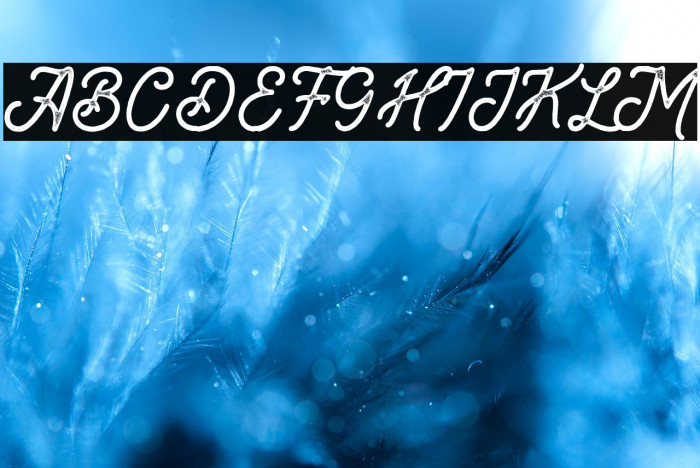 Brandon Smith Stamp Example 3