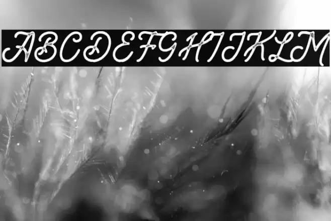 Brandon Smith Stamp Font examples