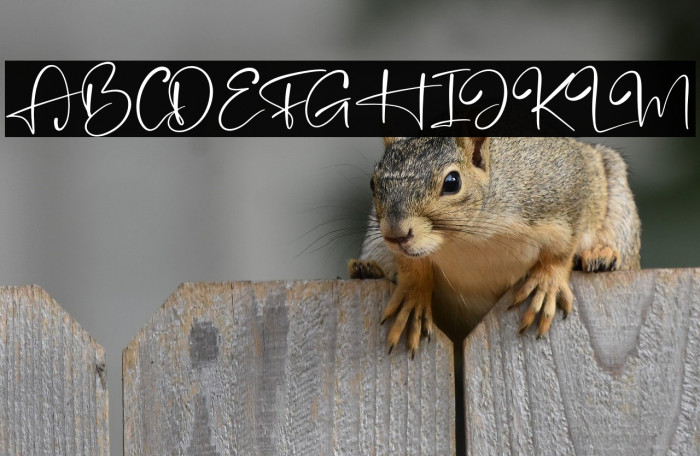 Brandon Smith Example 1