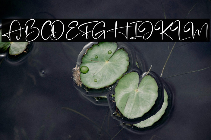 Brandon Smith Example 3