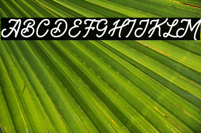 Brandon Smith Example 2