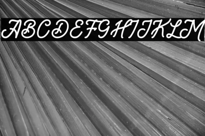 Brandon Smith Font examples