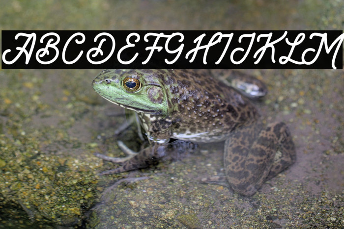 Brandon Smith Example 3