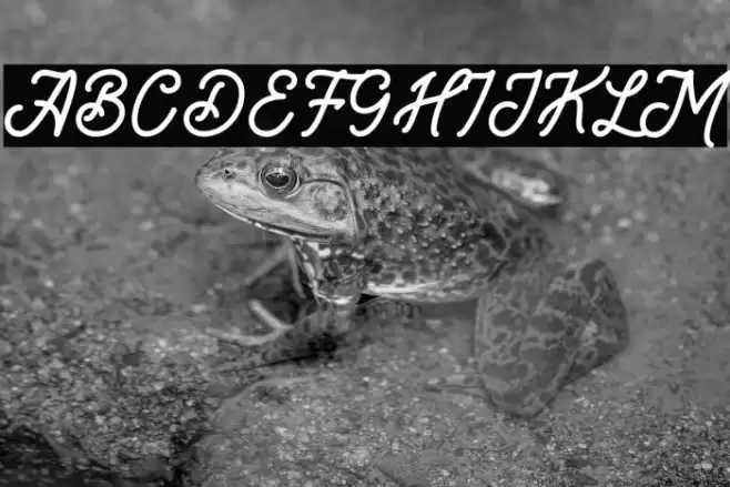 Brandon Smith Font examples