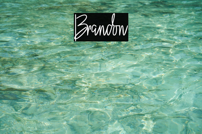 Brandon Font examples